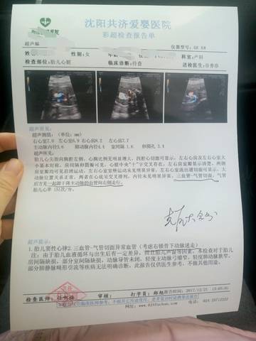 journal_insert_pic_912947760