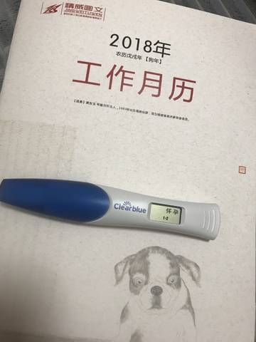 journal_insert_pic_912922403