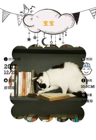 journal_insert_pic_913986875