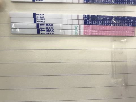 journal_insert_pic_913782845