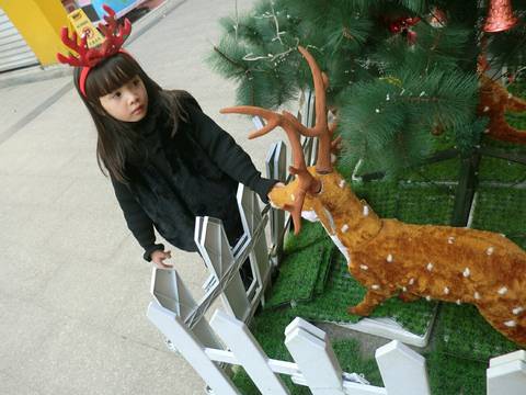 journal_insert_pic_913820261