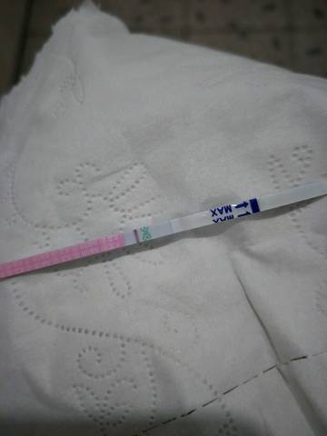 journal_insert_pic_914483533