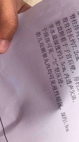 journal_insert_pic_914583750