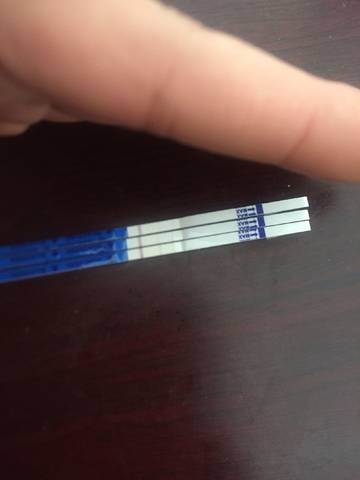 journal_insert_pic_914452550