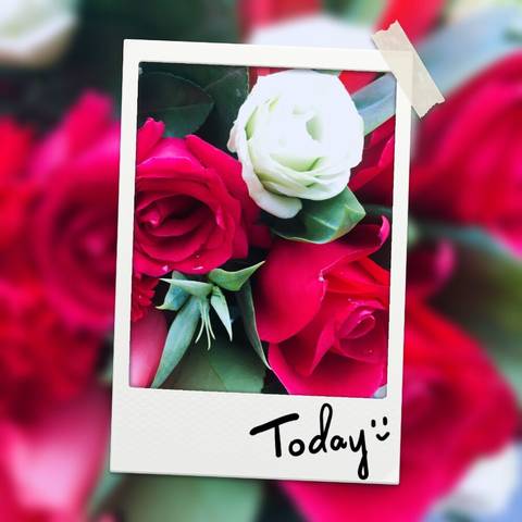 journal_insert_pic_914424781