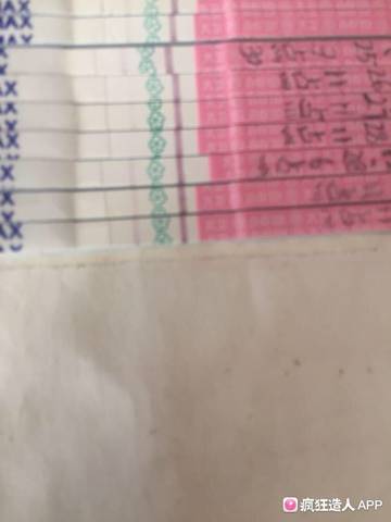 journal_insert_pic_915225569