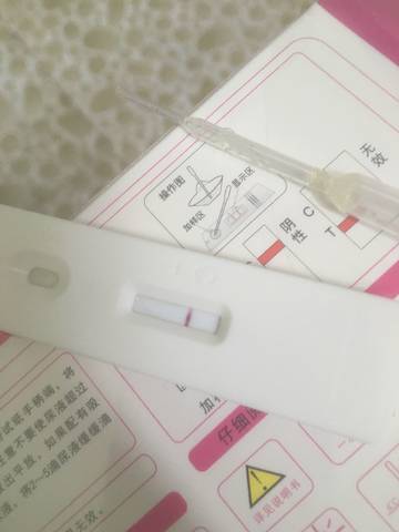 journal_insert_pic_915057599