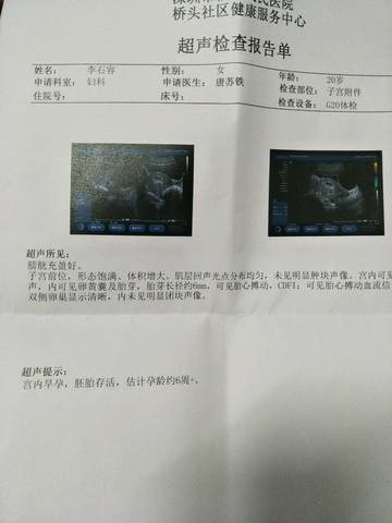 journal_insert_pic_915093543
