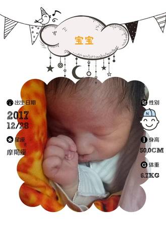 journal_insert_pic_915227410