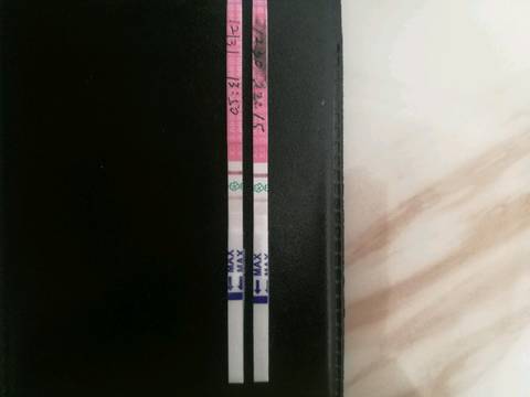 journal_insert_pic_915857181