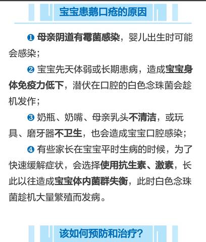 journal_insert_pic_916043081