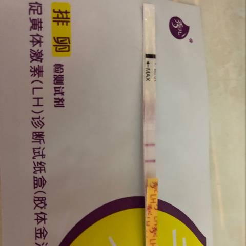 journal_insert_pic_915722406