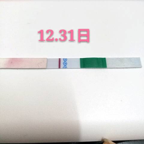 journal_insert_pic_916714284