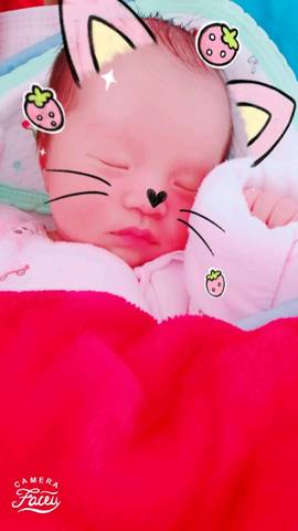 journal_insert_pic_916505437