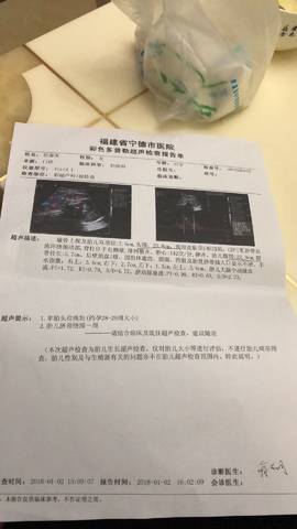 journal_insert_pic_917672005