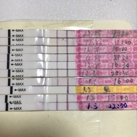 journal_insert_pic_918468895