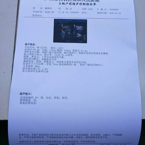 journal_insert_pic_918620176