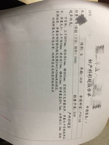 journal_insert_pic_919200934