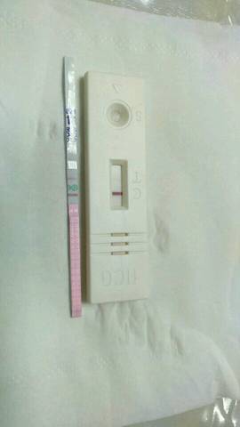 journal_insert_pic_919080400