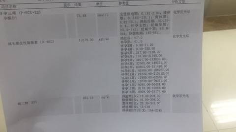 journal_insert_pic_920087965