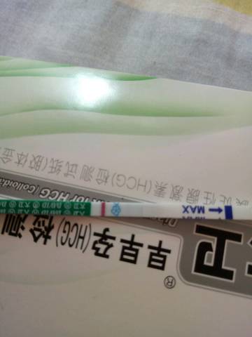 journal_insert_pic_920727814