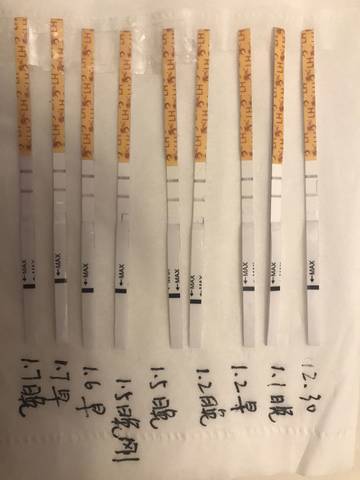 journal_insert_pic_921079478