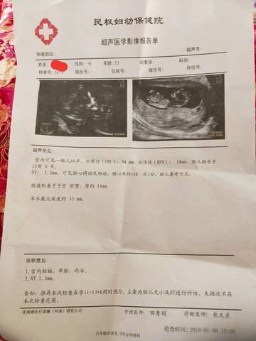 journal_insert_pic_921614215