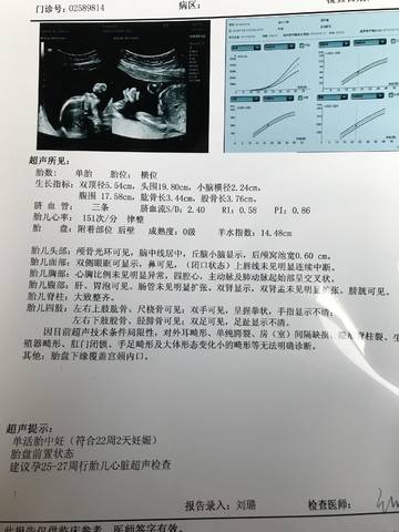 journal_insert_pic_921367260