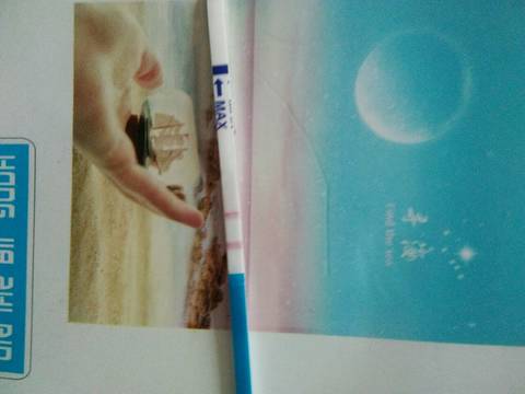 journal_insert_pic_921345178