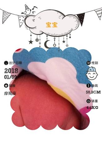 journal_insert_pic_922655836
