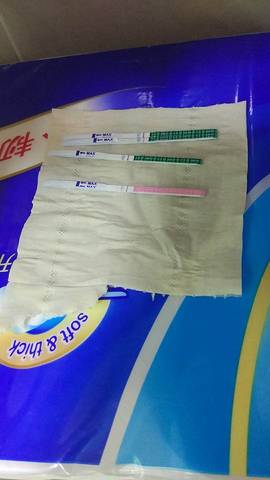 journal_insert_pic_922736825