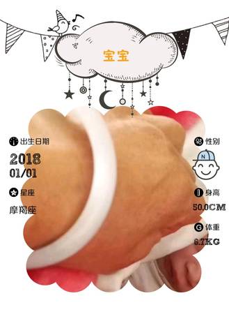 journal_insert_pic_923617780