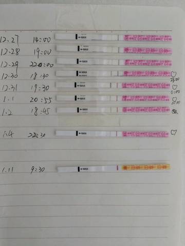 journal_insert_pic_923243829
