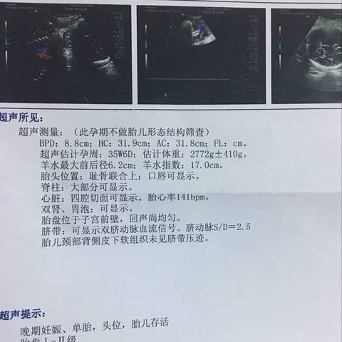journal_insert_pic_923314837