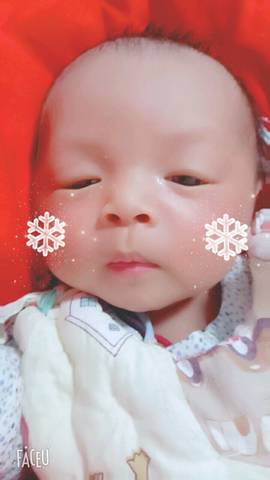 journal_insert_pic_923216261
