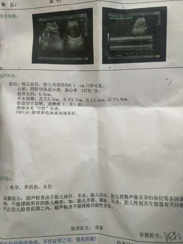 journal_insert_pic_923651175