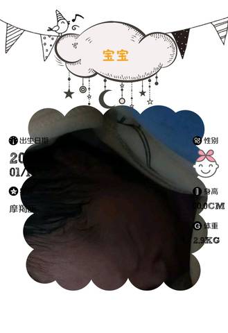 journal_insert_pic_923432434