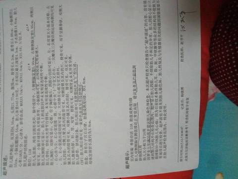 journal_insert_pic_923270773