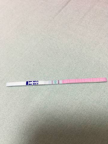 journal_insert_pic_924113826