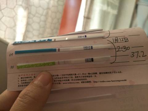 journal_insert_pic_923997455