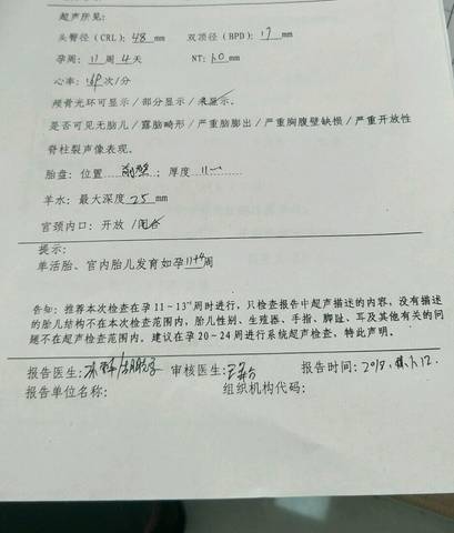 journal_insert_pic_923924994