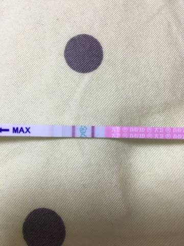 journal_insert_pic_924113864