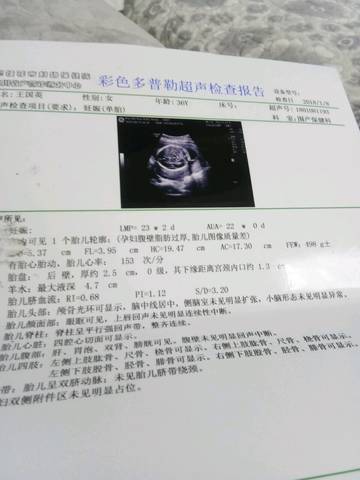 journal_insert_pic_924190920