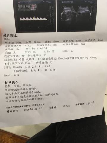 journal_insert_pic_924079405