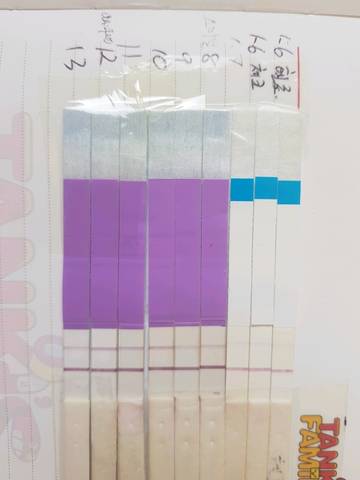 journal_insert_pic_925184863