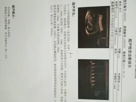 journal_insert_pic_925076557