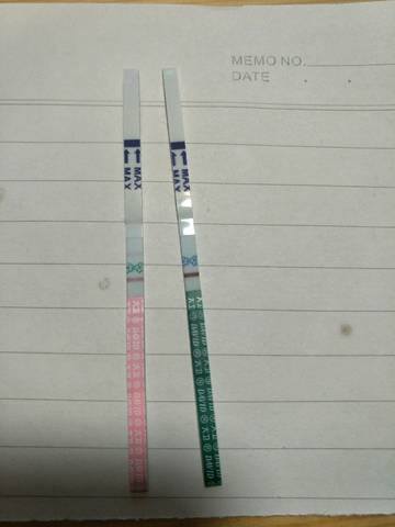 journal_insert_pic_926047064
