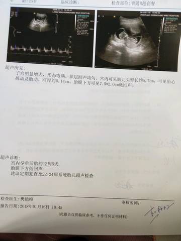 journal_insert_pic_926563161