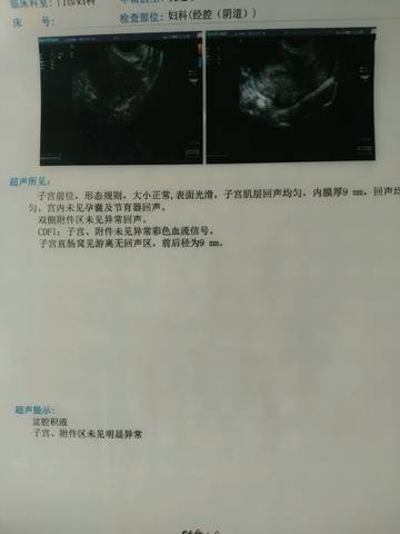 journal_insert_pic_926517083