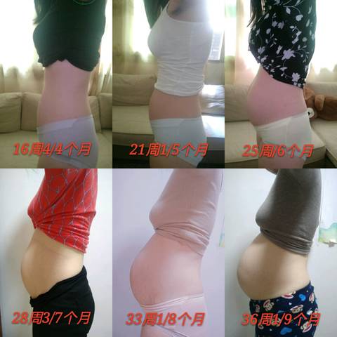 journal_insert_pic_927410009